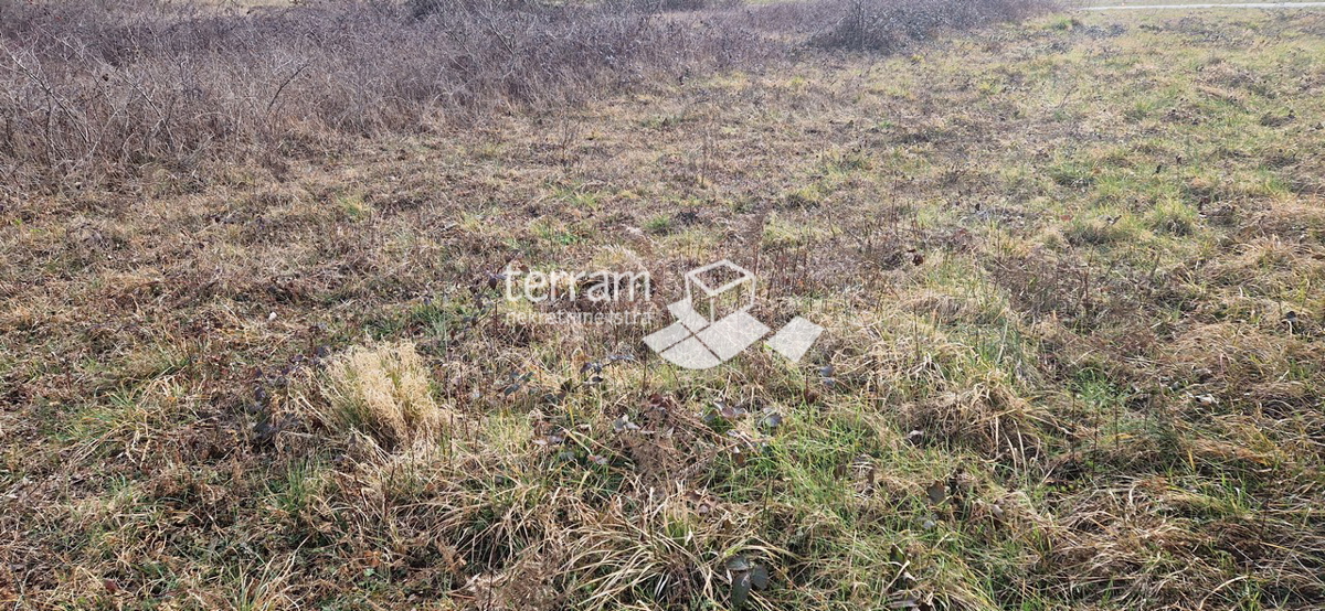 Istria, Barban, terreno edificabile 3160m2 con un edificio di 40m2 in vendita