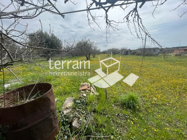 Istria, Fasana, terreno 3800m2 con edificio legalizzato 68m2, elettricità, acqua! #vendita