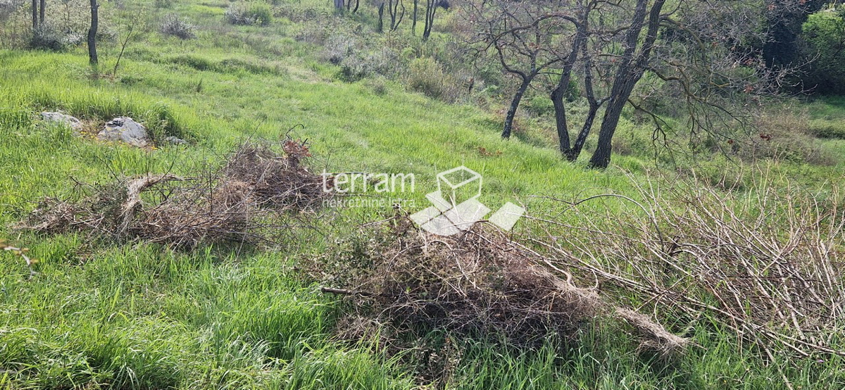 Istria, Loborika, terreno edificabile 2711m2 NUOVO #vendita