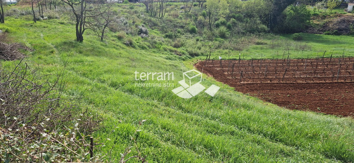 Istria, Loborika, terreno edificabile 2711m2 NUOVO #vendita