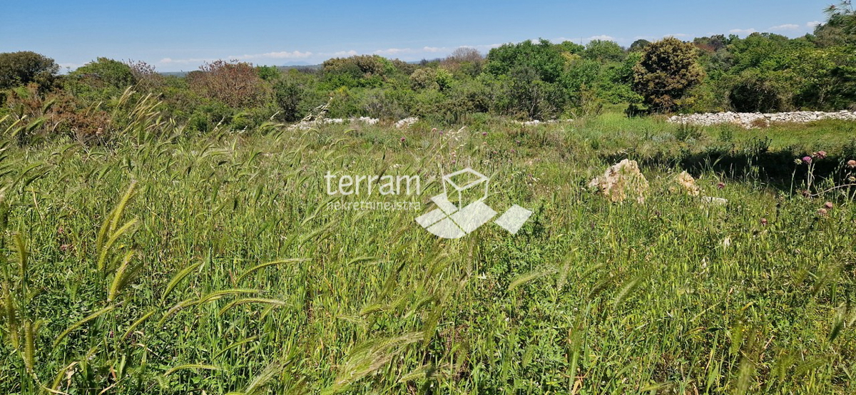 Istria, Medolino, Vintijan, terreno edificabile 1143m2 #vendita