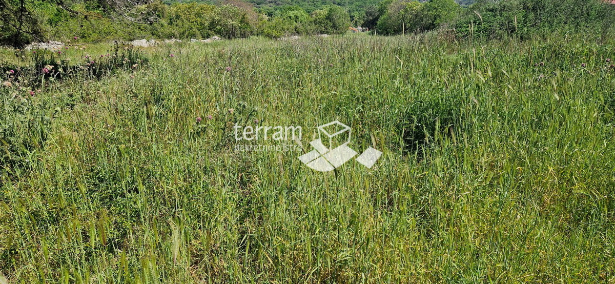 Istria, Medolino, Vintijan, terreno edificabile 1143m2 #vendita