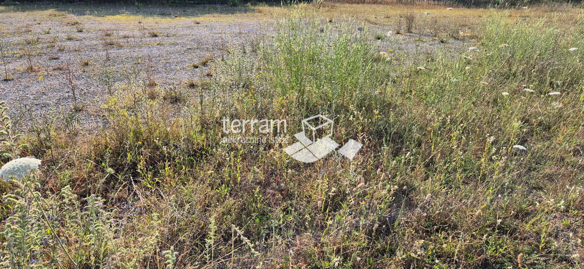 Istria, Canfanaro, Centar, terreno edificabile 1264m2 #vendita