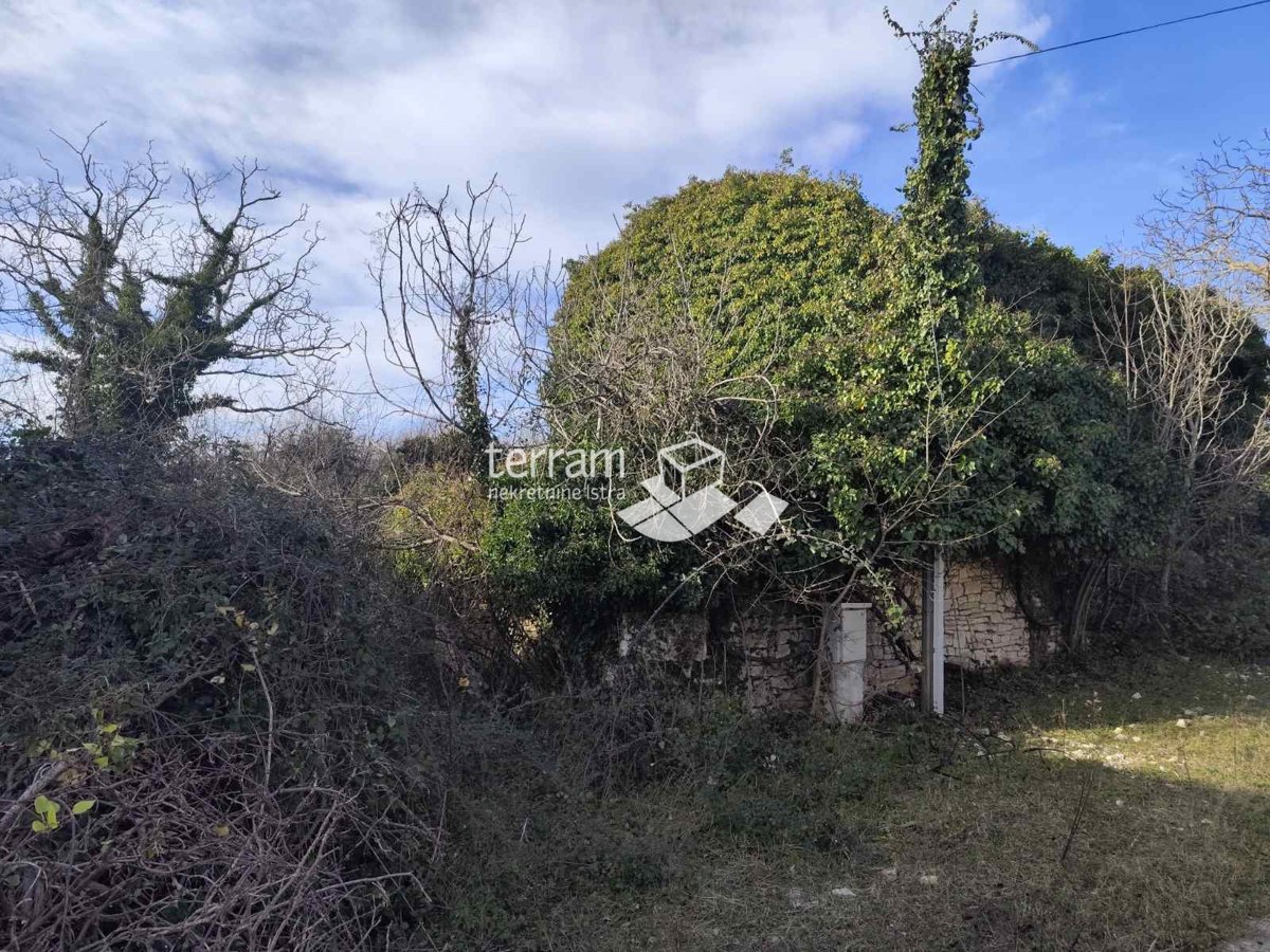 Istria, Svetvinčenat, Juršići casa 115m2 + giardino 1101m2 # in vendita