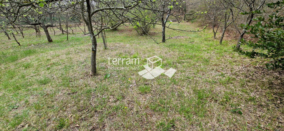 Istria, Barban, casa indipendente 139 m2 con giardino 2033 m2 in vendita