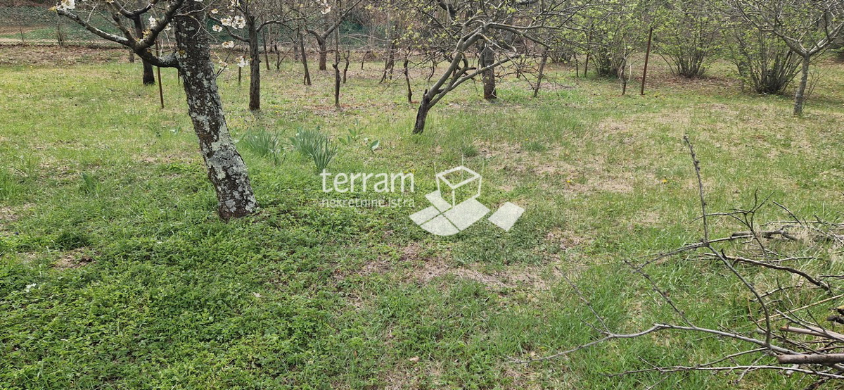 Istria, Barban, casa indipendente 139 m2 con giardino 2033 m2 in vendita