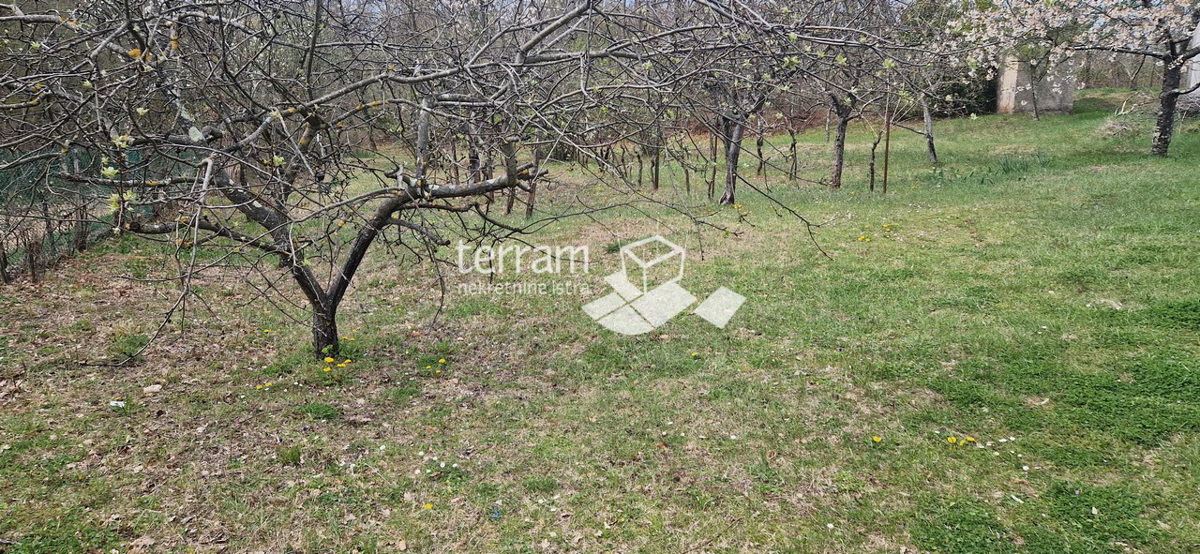 Istria, Barban, casa indipendente 139 m2 con giardino 2033 m2 in vendita