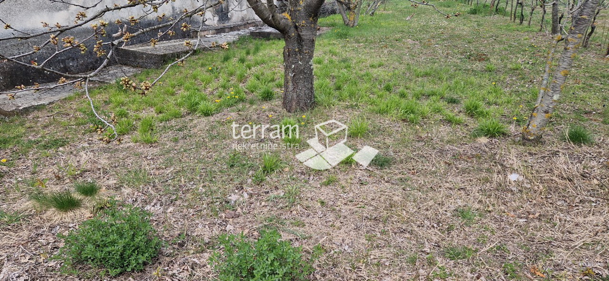 Istria, Barban, casa indipendente 139 m2 con giardino 2033 m2 in vendita