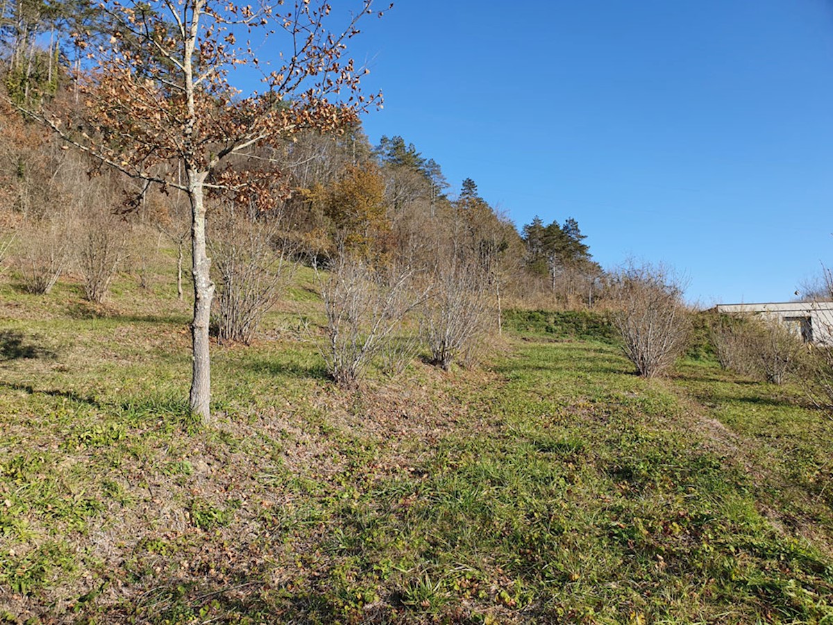 Z-571, Livade, terreno edificabile con vista su Montona