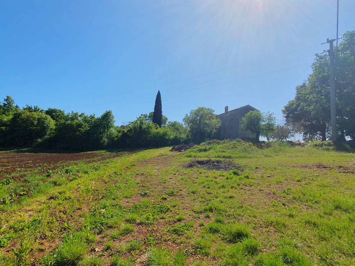 KOP-740, VIŽINADA, proprietà con casa di 180 m² e terreno di 35.380 m², con vista su Motovun