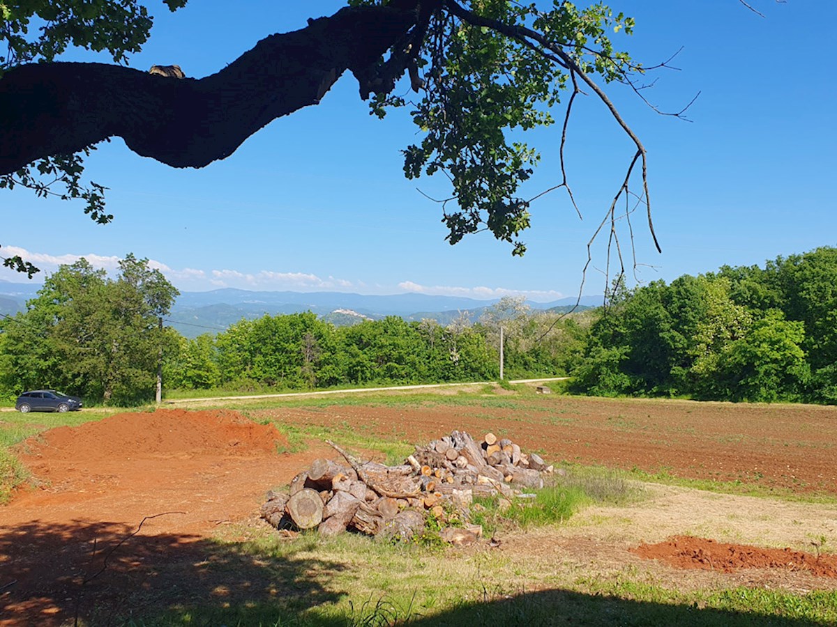 KOP-740, VIŽINADA, proprietà con casa di 180 m² e terreno di 35.380 m², con vista su Motovun
