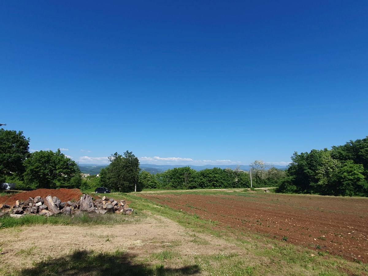 KOP-740, VIŽINADA, proprietà con casa di 180 m² e terreno di 35.380 m², con vista su Motovun