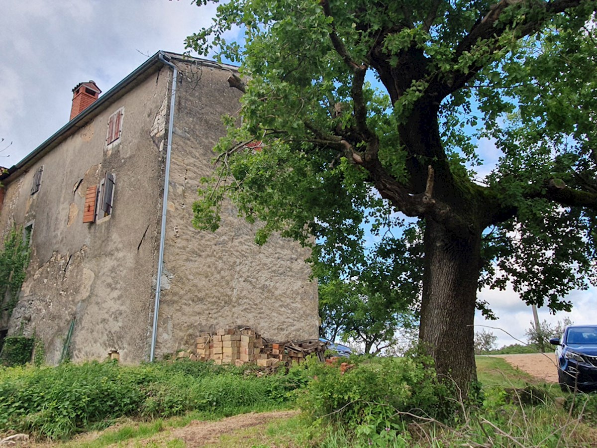KOP-740, VIŽINADA, proprietà con casa di 180 m² e terreno di 35.380 m², con vista su Motovun