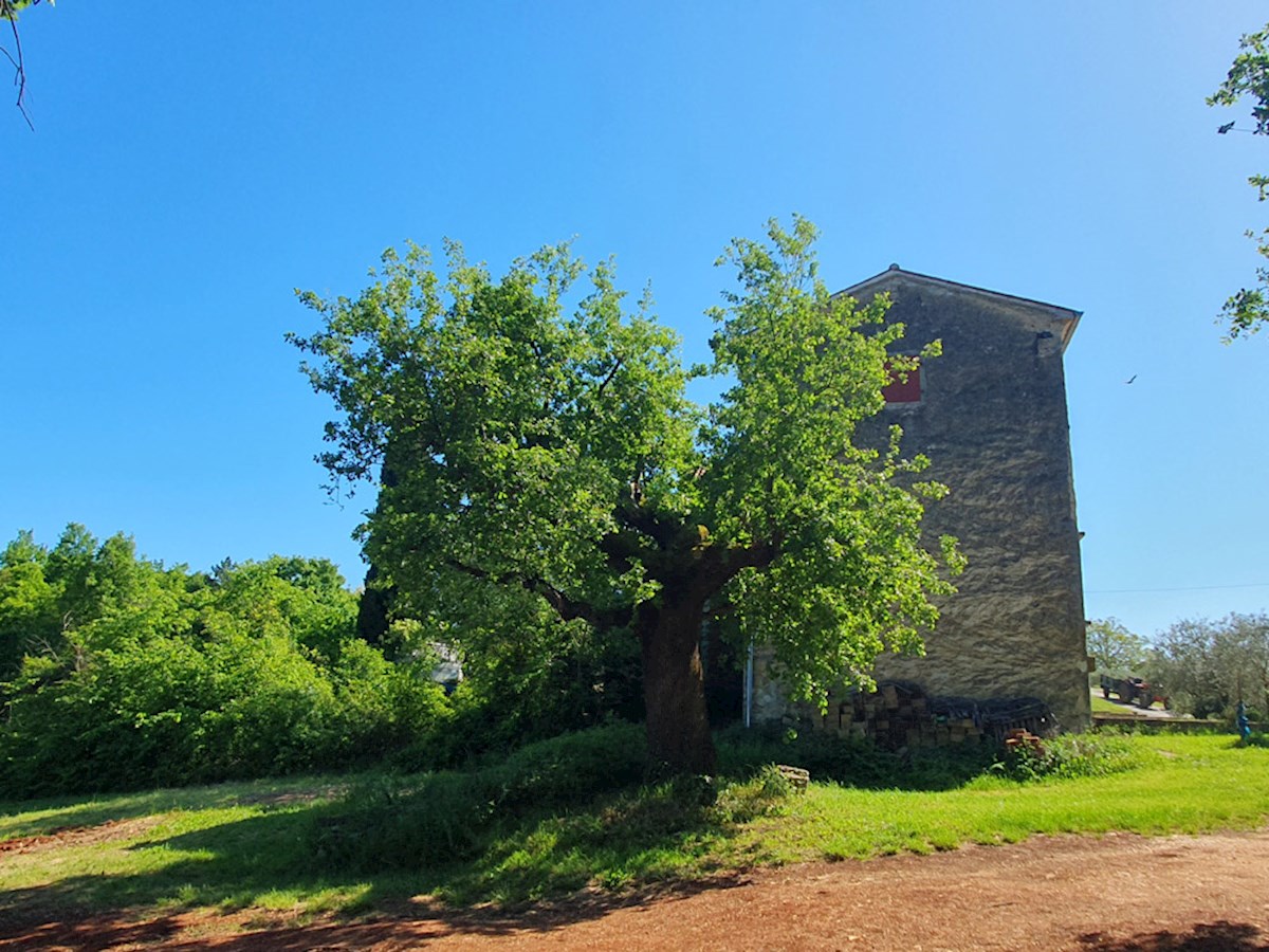 KOP-740, VIŽINADA, proprietà con casa di 180 m² e terreno di 35.380 m², con vista su Motovun
