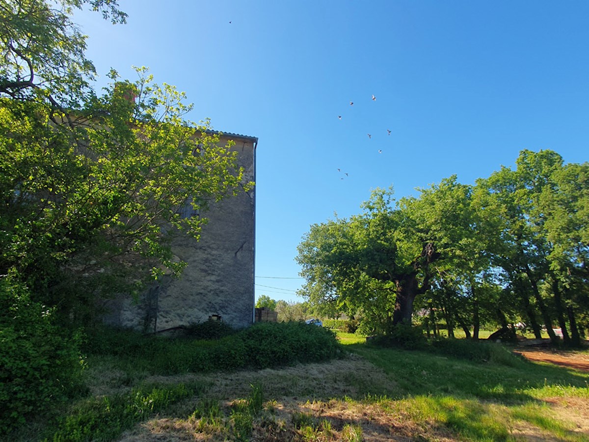KOP-740, VIŽINADA, proprietà con casa di 180 m² e terreno di 35.380 m², con vista su Motovun