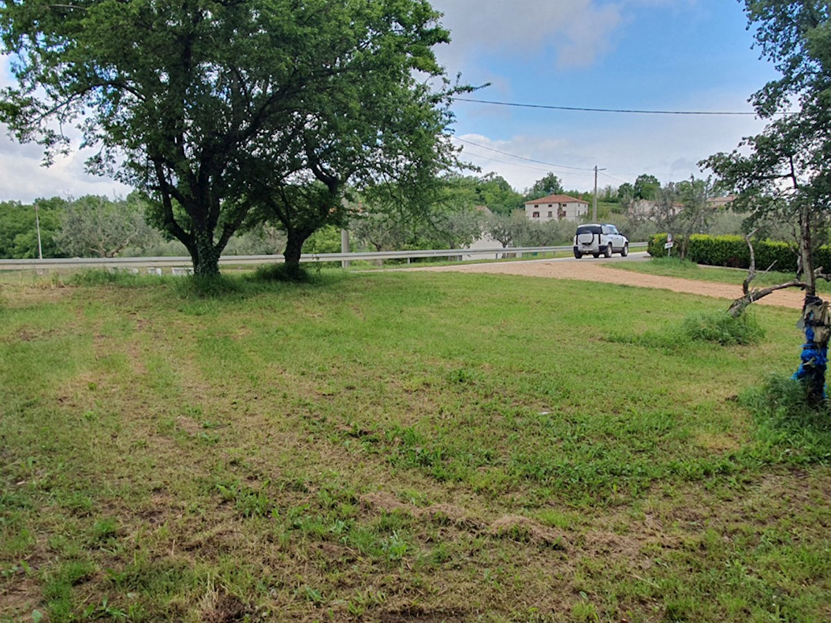 KOP-740, VIŽINADA, proprietà con casa di 180 m² e terreno di 35.380 m², con vista su Motovun