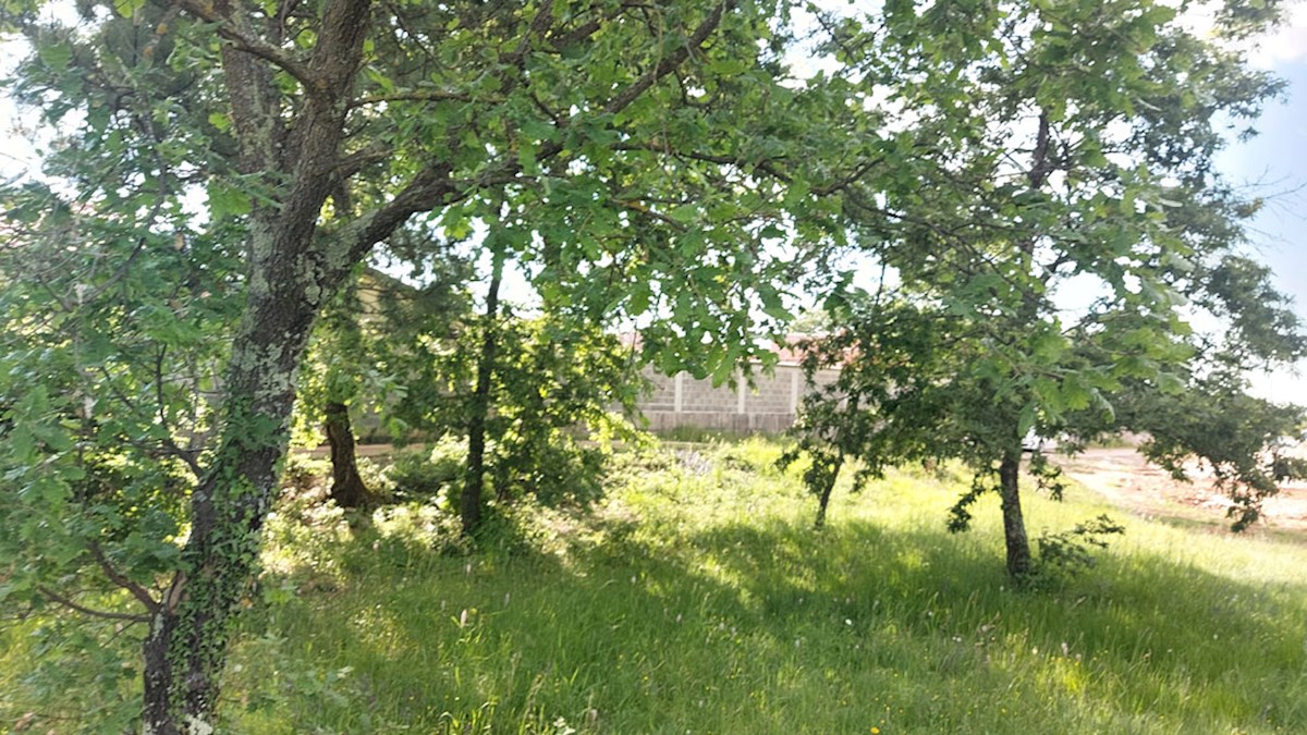 Z-655, Tinjan – dintorni (ca. 3 km): Terreno edificabile con terreno agricolo aggiuntivo
