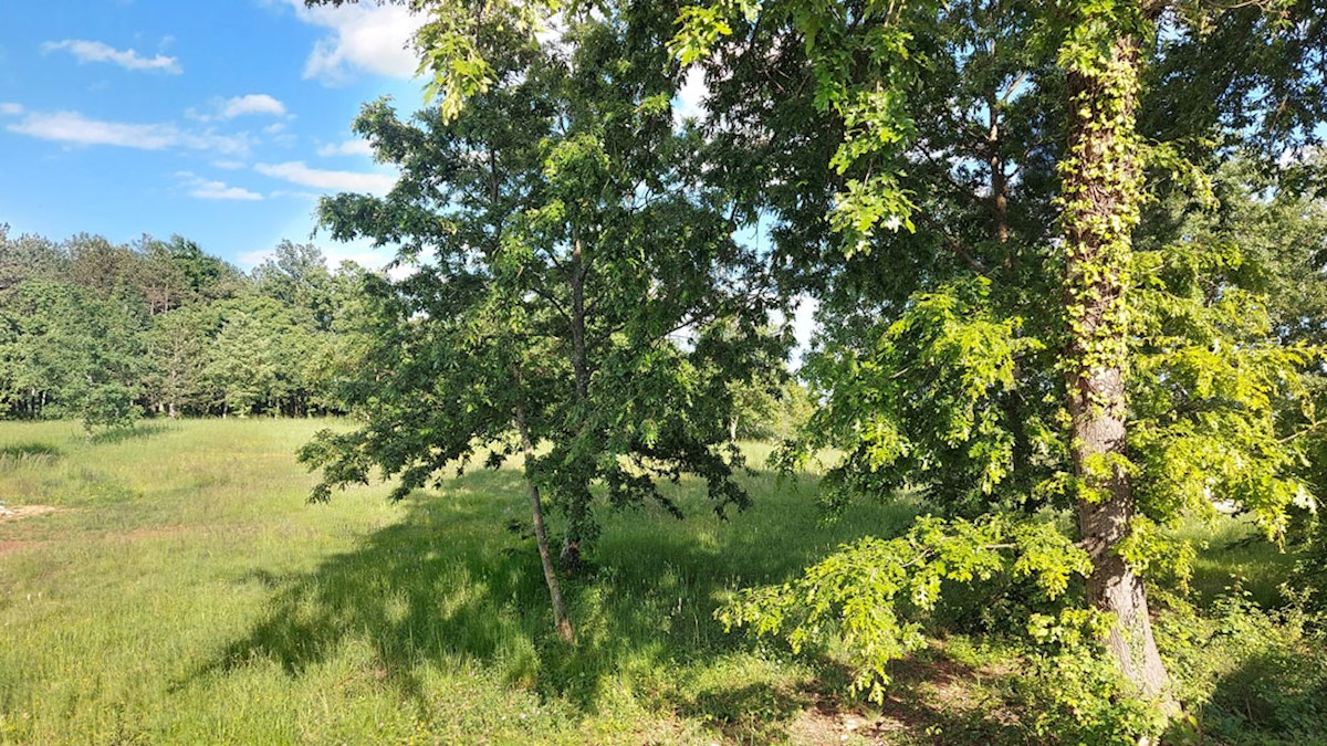 Z-655, Tinjan – dintorni (ca. 3 km): Terreno edificabile con terreno agricolo aggiuntivo
