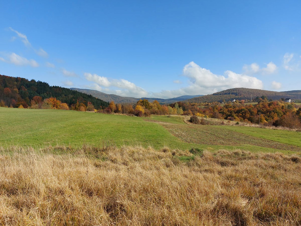 In vendita, zona di Vrbovsko – Casa da ristrutturare, possibilità di ulteriore costruzione, vista panoramica GK-001