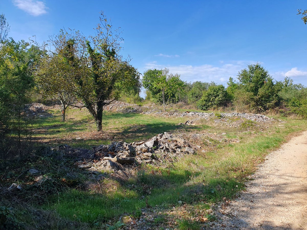 Z-645, RAPAVEL vicino a Višnjan, terreno edificabile in una posizione tranquilla 808 m2