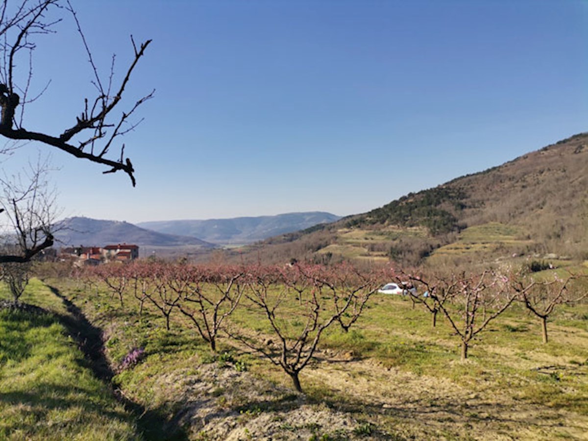 Z-622, Terreno edificabile 3306m2 con vista su Montona, in vendita