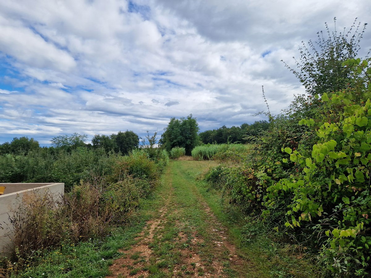 Z-658, Terreno edificabile – Vicinanze di Višnjan, 616 m²