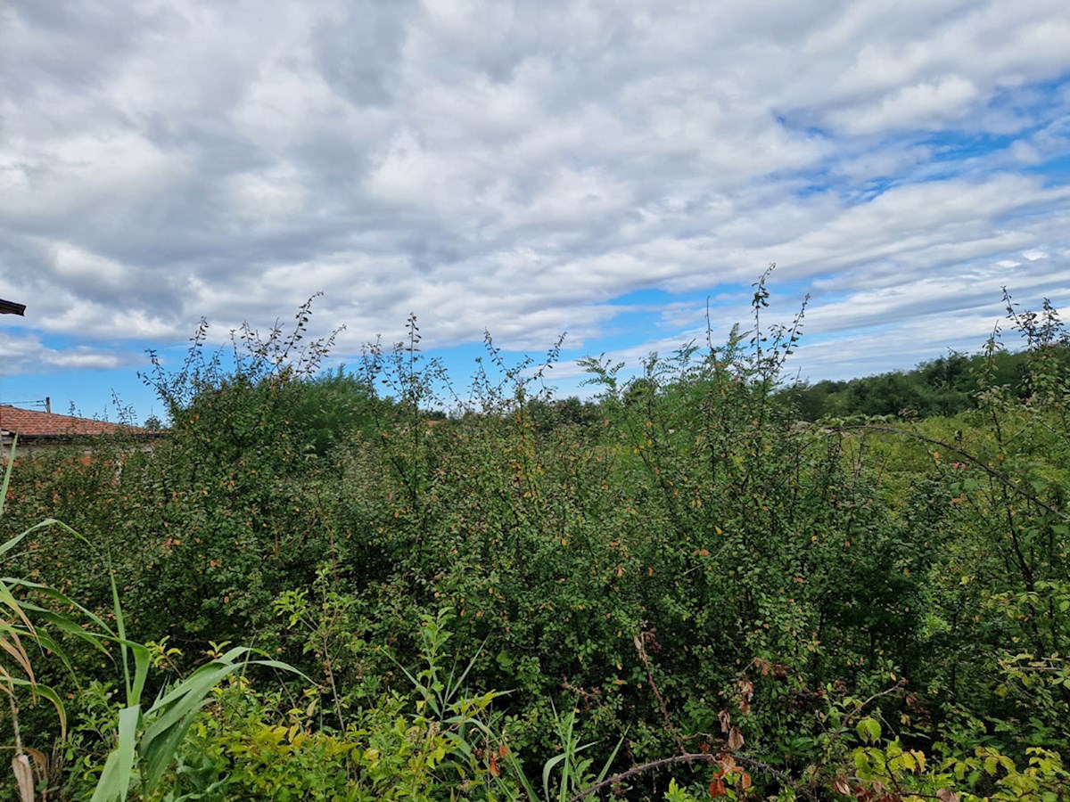 Z-658, Terreno edificabile – Vicinanze di Višnjan, 616 m²