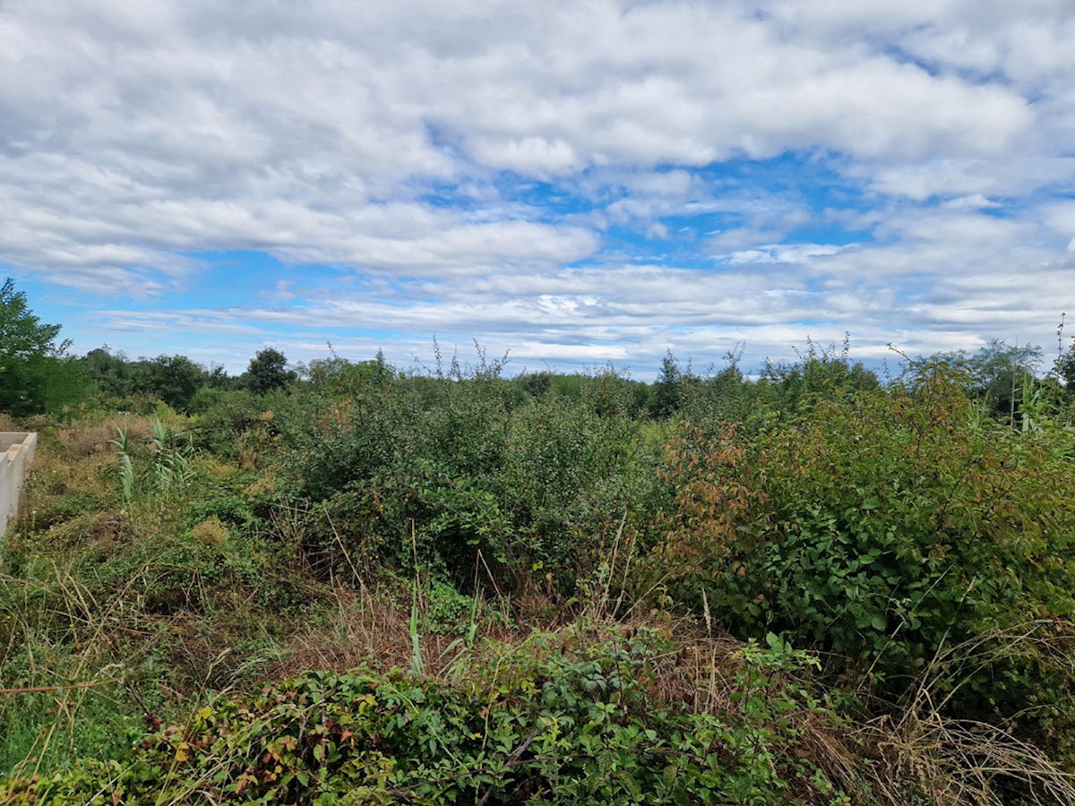 Z-658, Terreno edificabile – Vicinanze di Višnjan, 616 m²