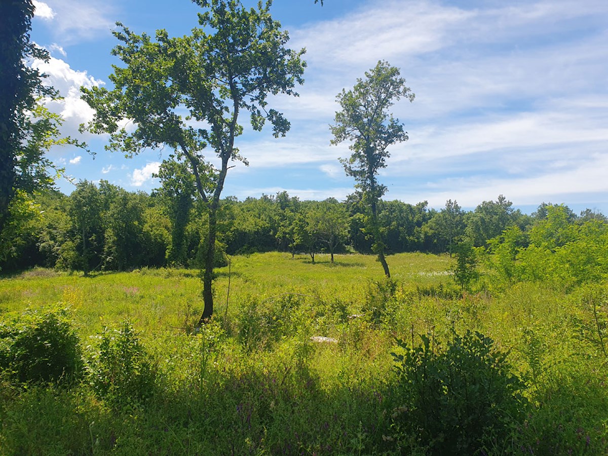 Vendita, Medvidići, Terreno edificabile 802 m², Z-653