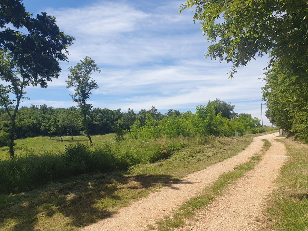 Vendita, Medvidići, Terreno edificabile 802 m², Z-653