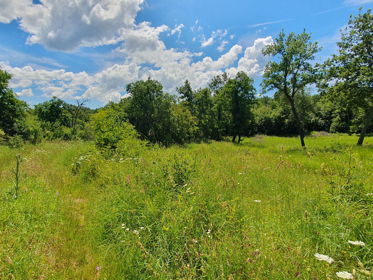 Vendita, Medvidići, Terreno edificabile 802 m², Z-653