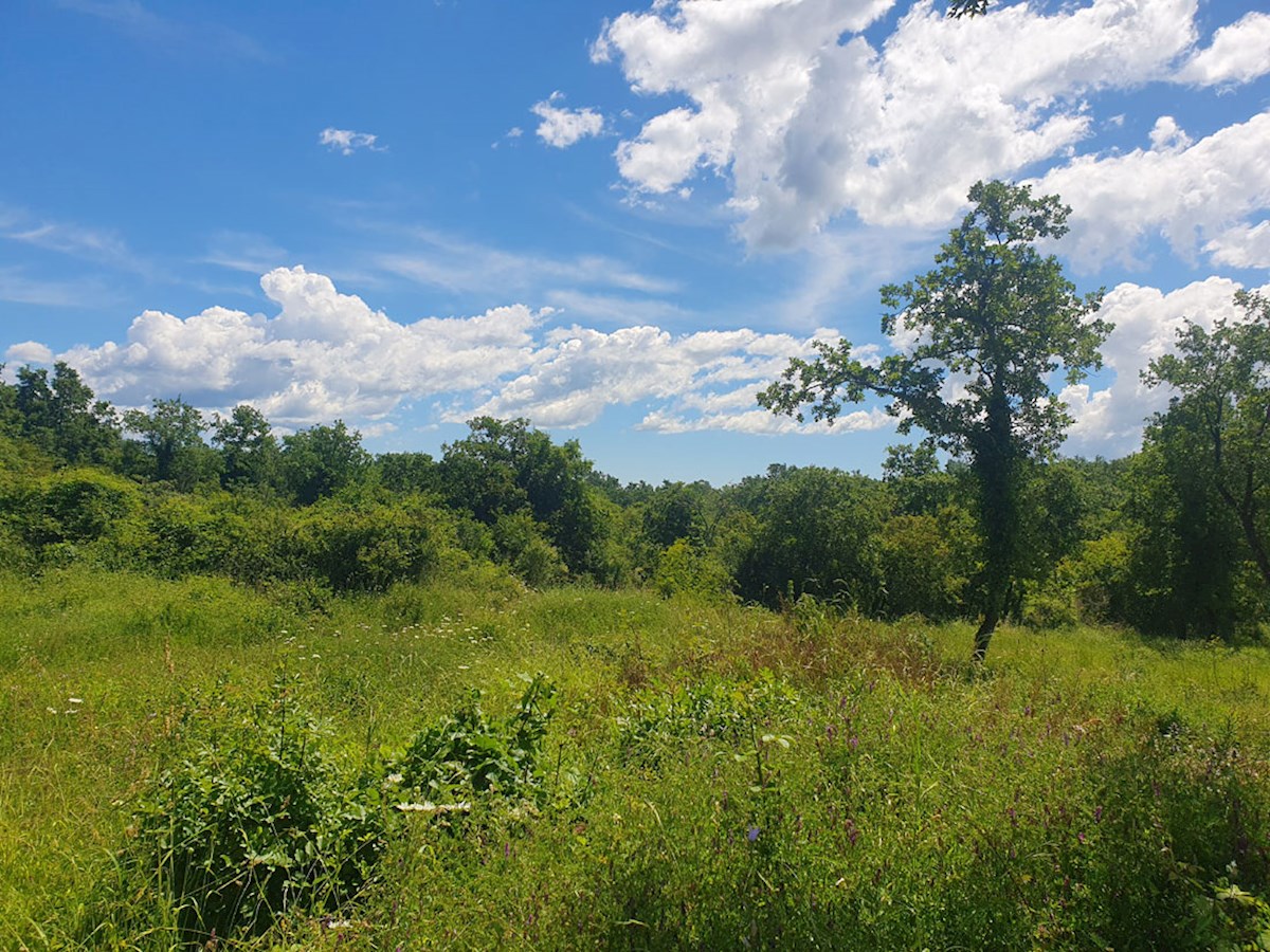 Vendita, Medvidići, Terreno edificabile 802 m², Z-653