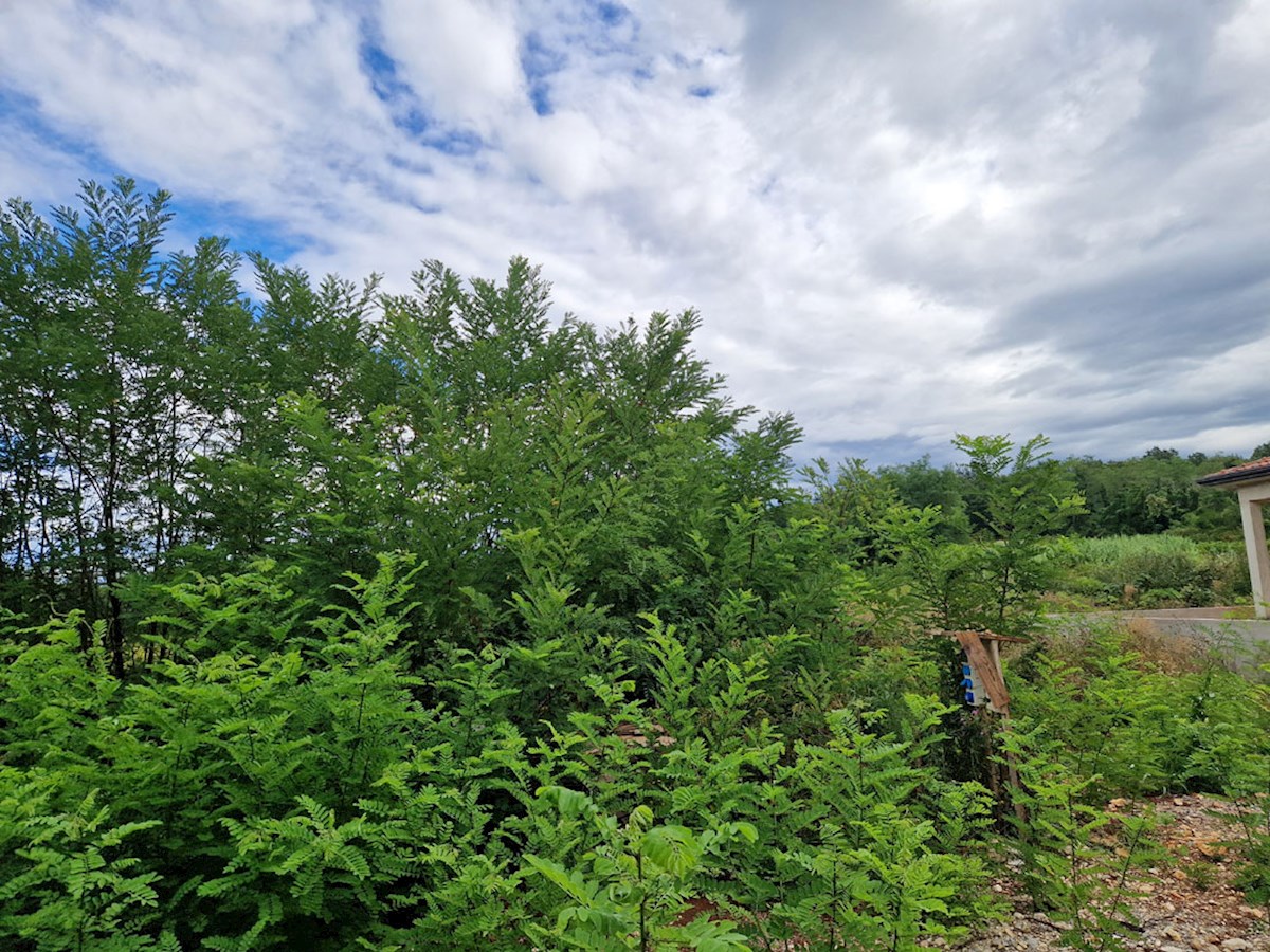 Z-659, Terreno edificabile – Vicinanze di Višnjan, 582 m²