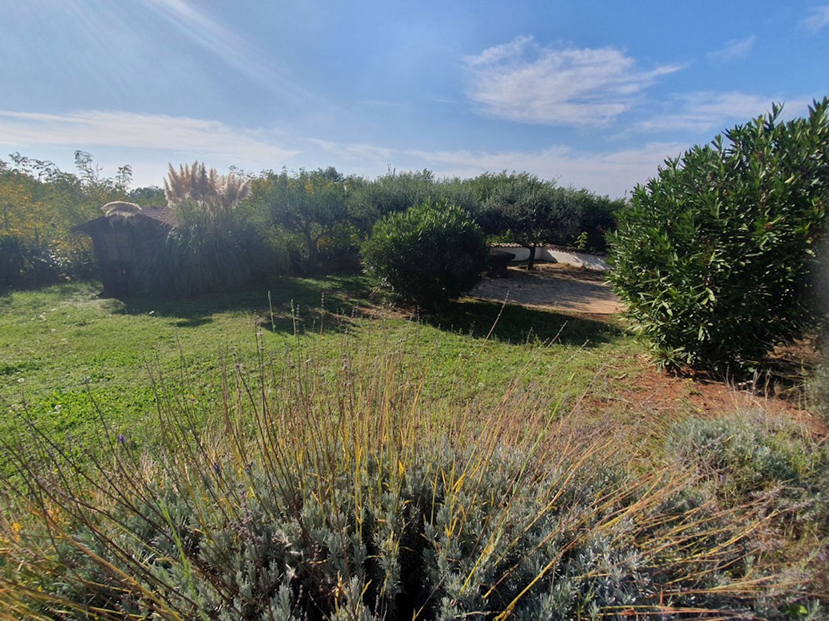 In vendita, casa al piano terra con tre camere da letto e piscina nei dintorni di Parenzo, KOP-767