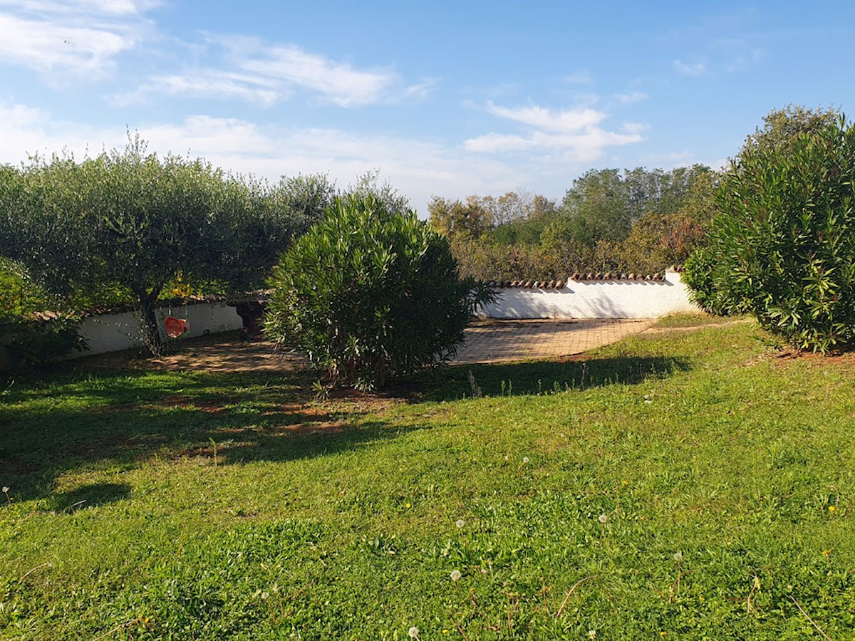 In vendita, casa al piano terra con tre camere da letto e piscina nei dintorni di Parenzo, KOP-767