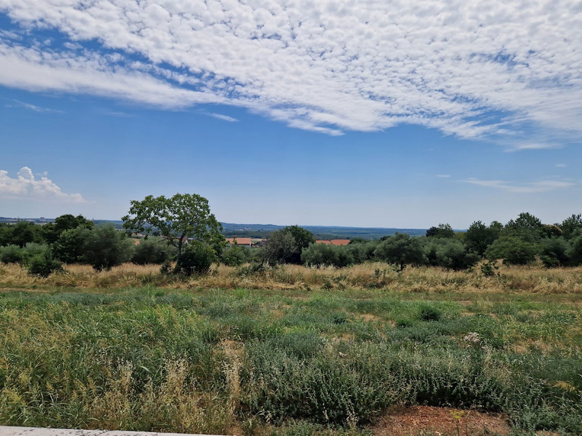 Vendita, Kaštelir – Casa a un piano in una zona tranquilla, in costruzione (KOP-770-B)