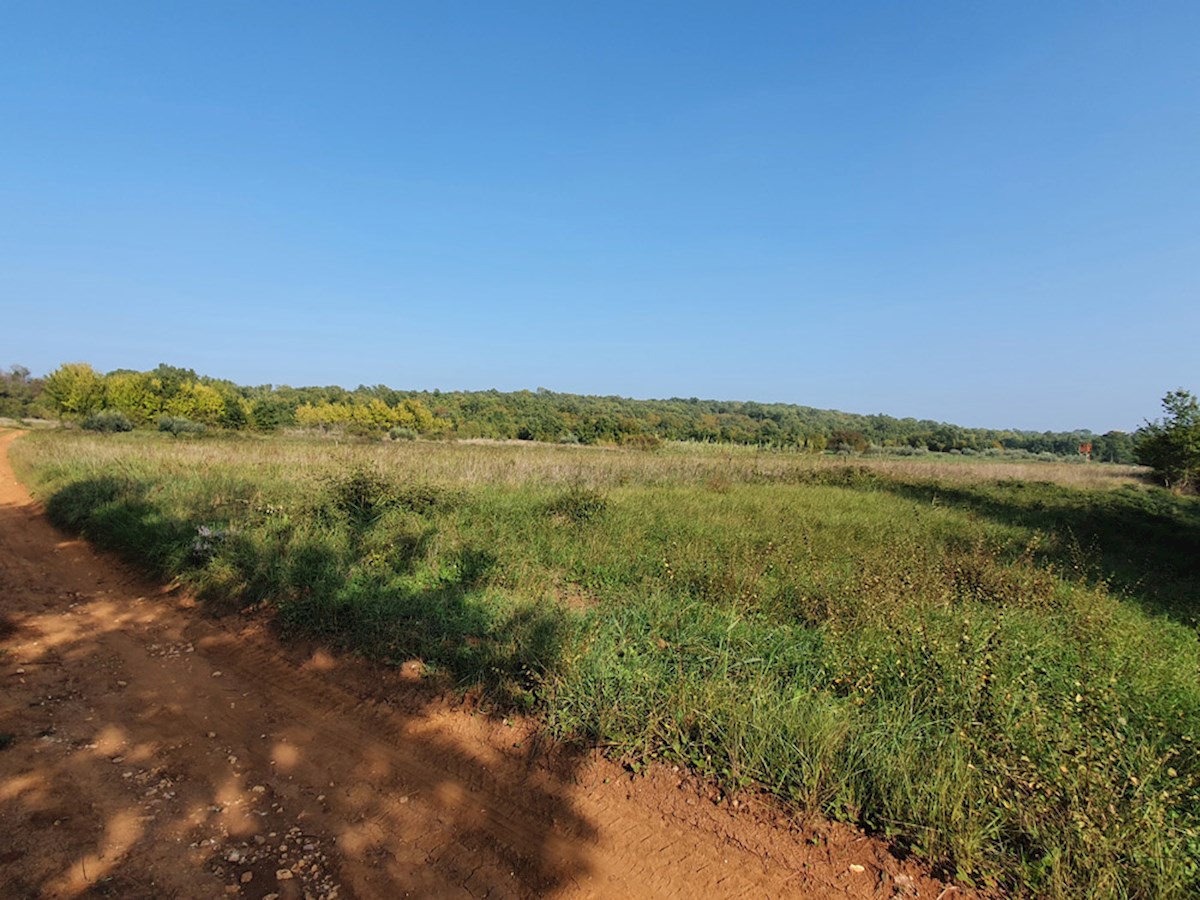 PZ-226, Terreno Agricolo Vicino alla Città di Parenzo, 44.885 m², in un Unico Lotto