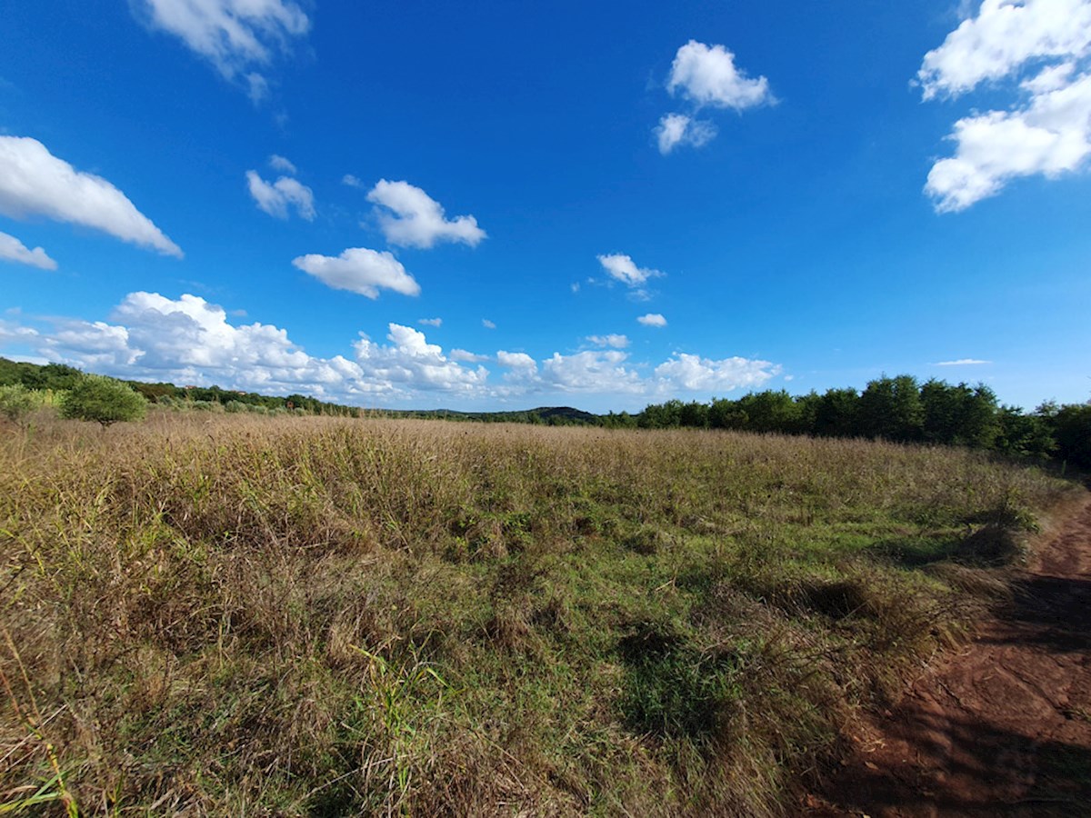 PZ-226, Terreno Agricolo Vicino alla Città di Parenzo, 44.885 m², in un Unico Lotto
