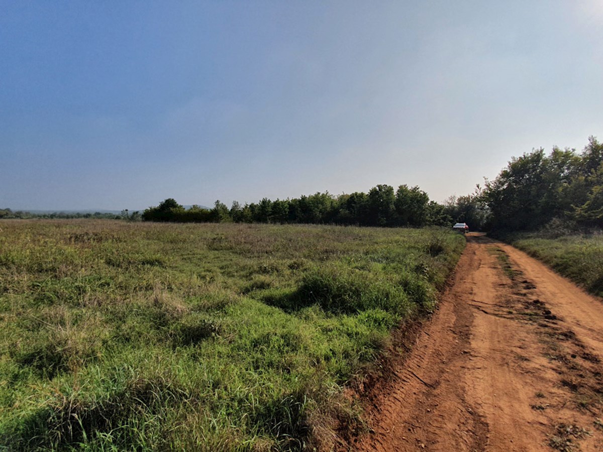 PZ-226, Terreno Agricolo Vicino alla Città di Parenzo, 44.885 m², in un Unico Lotto