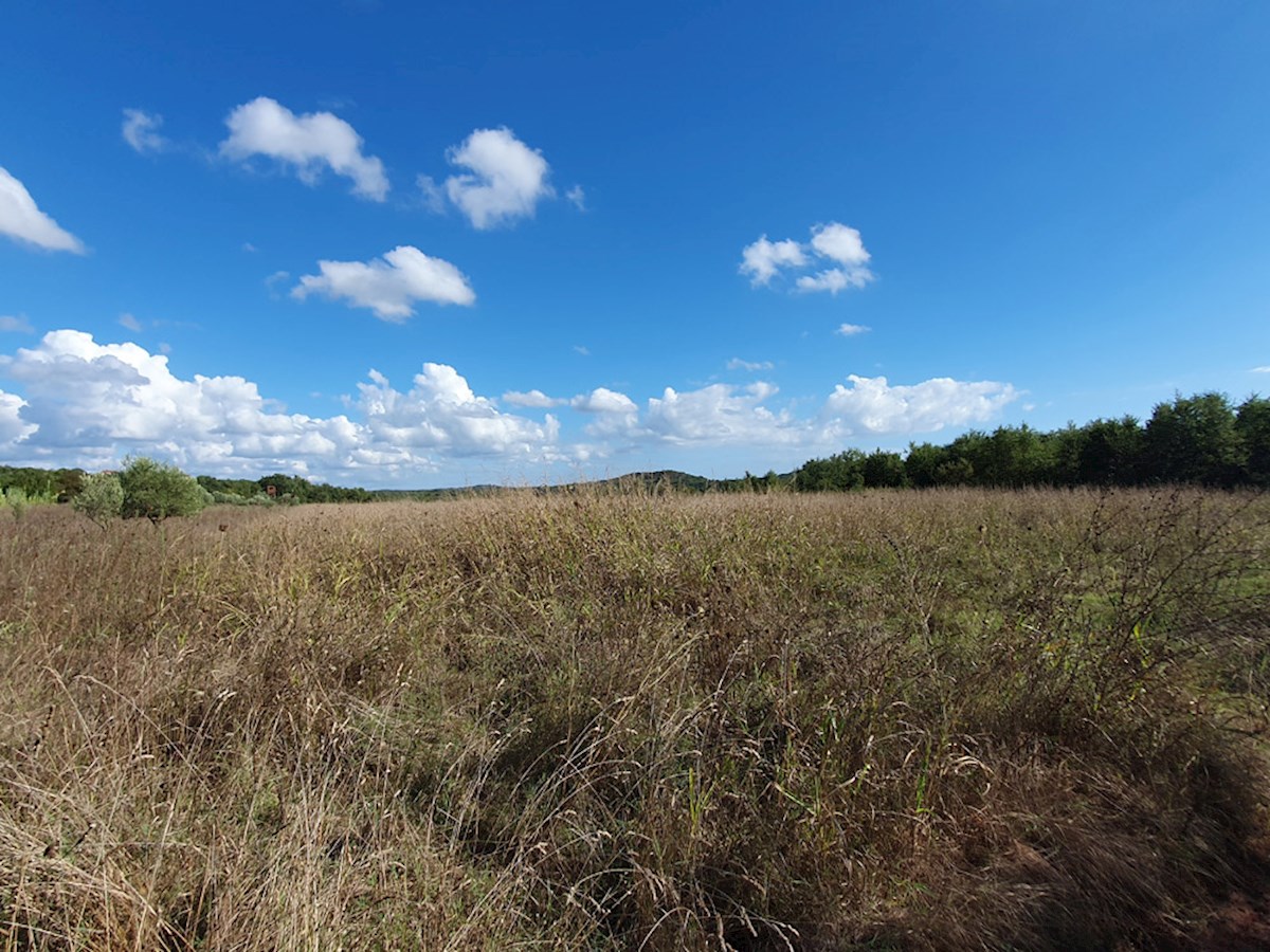 PZ-226, Terreno Agricolo Vicino alla Città di Parenzo, 44.885 m², in un Unico Lotto