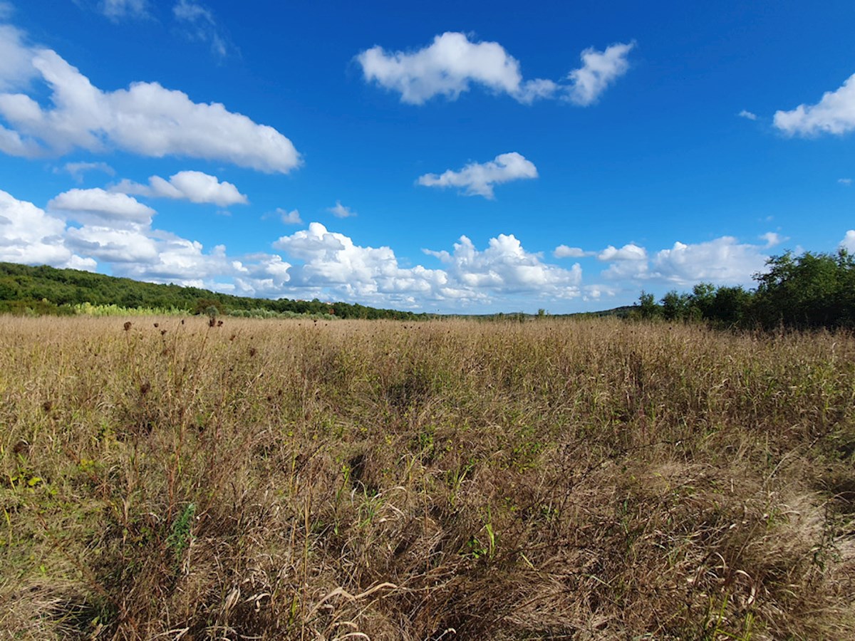 PZ-226, Terreno Agricolo Vicino alla Città di Parenzo, 44.885 m², in un Unico Lotto