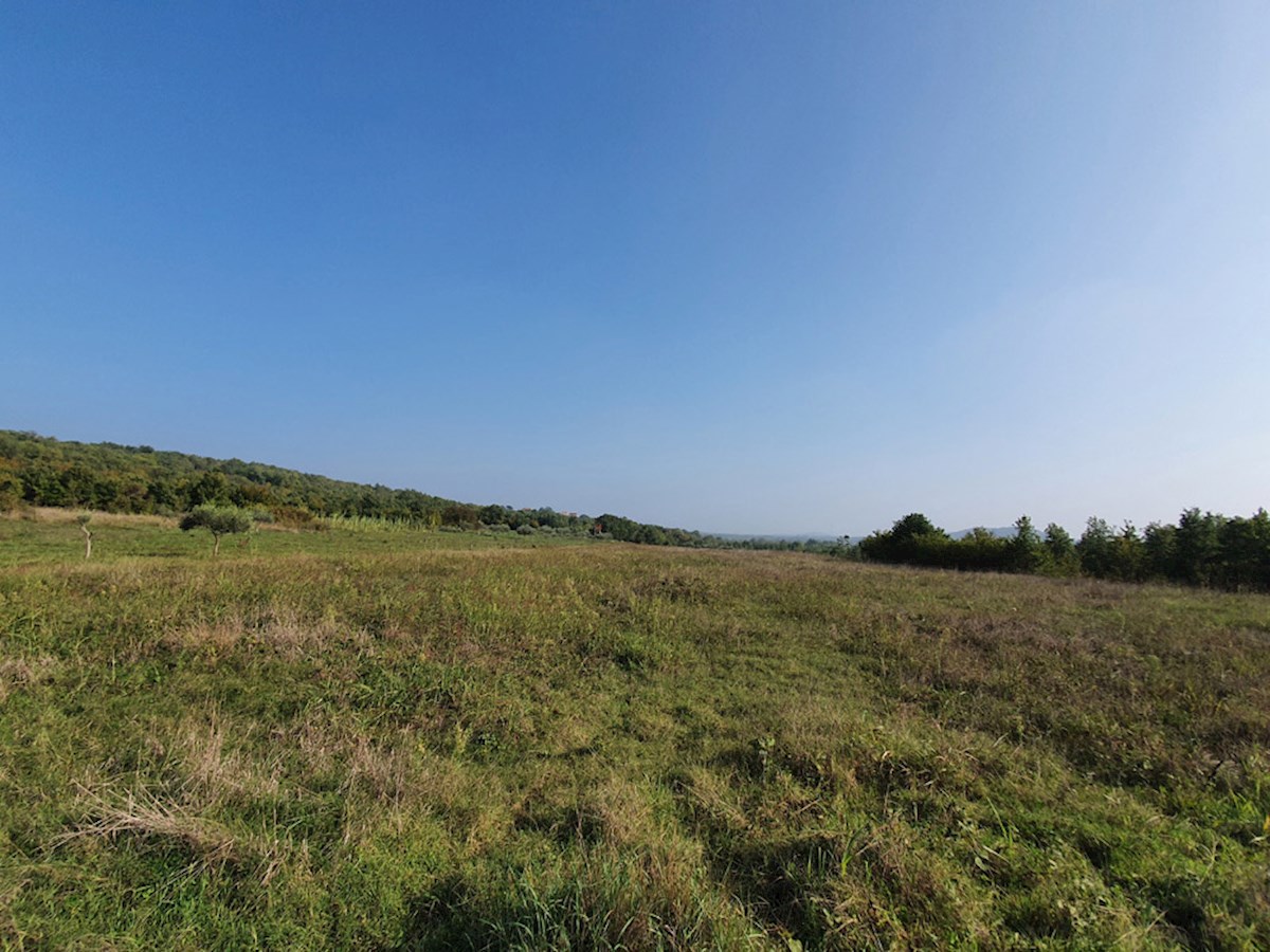 PZ-226, Terreno Agricolo Vicino alla Città di Parenzo, 44.885 m², in un Unico Lotto
