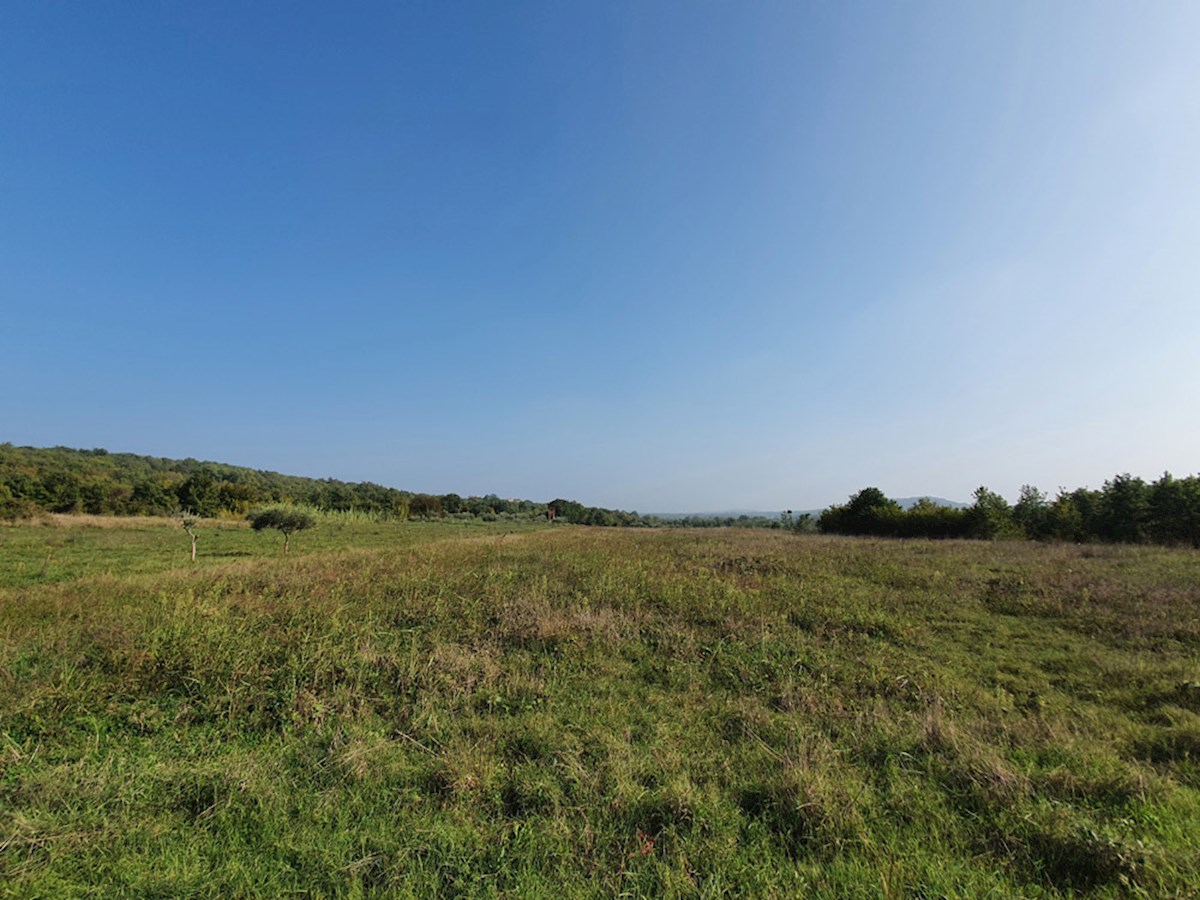 PZ-226, Terreno Agricolo Vicino alla Città di Parenzo, 44.885 m², in un Unico Lotto