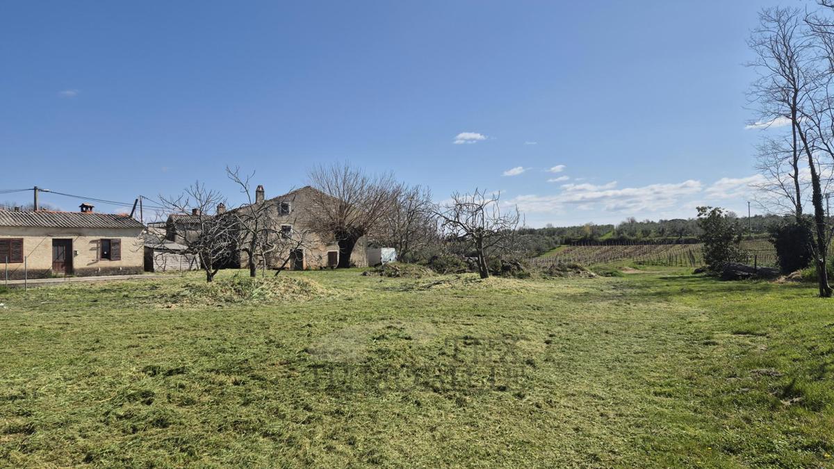 Terreno edificabile Kaštelir, Kaštelir-Labinci, 918 m2