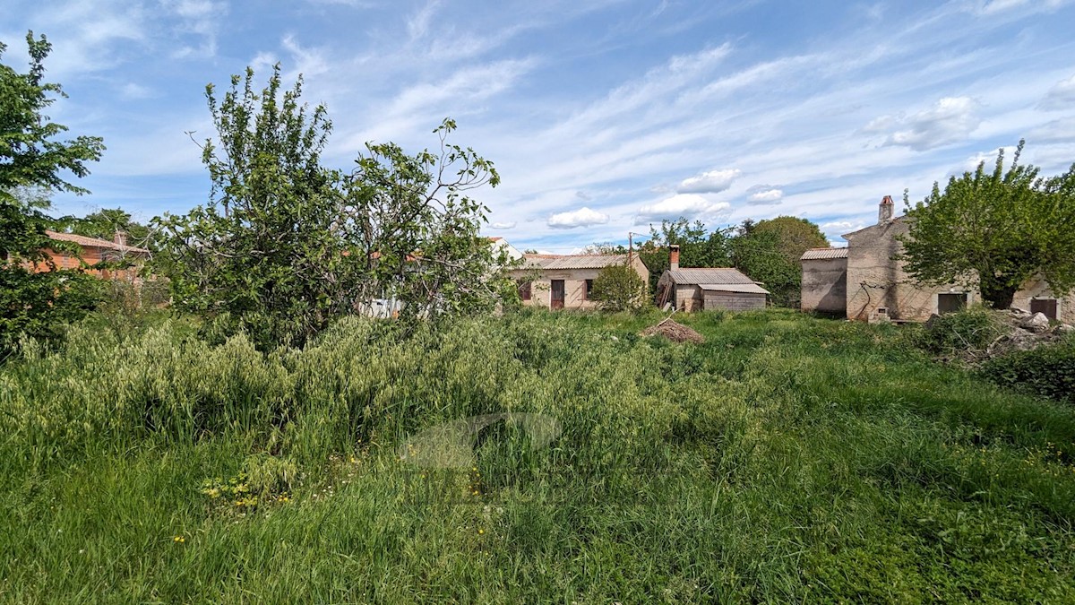 Terreno edificabile Kaštelir, Kaštelir-Labinci, 918 m2