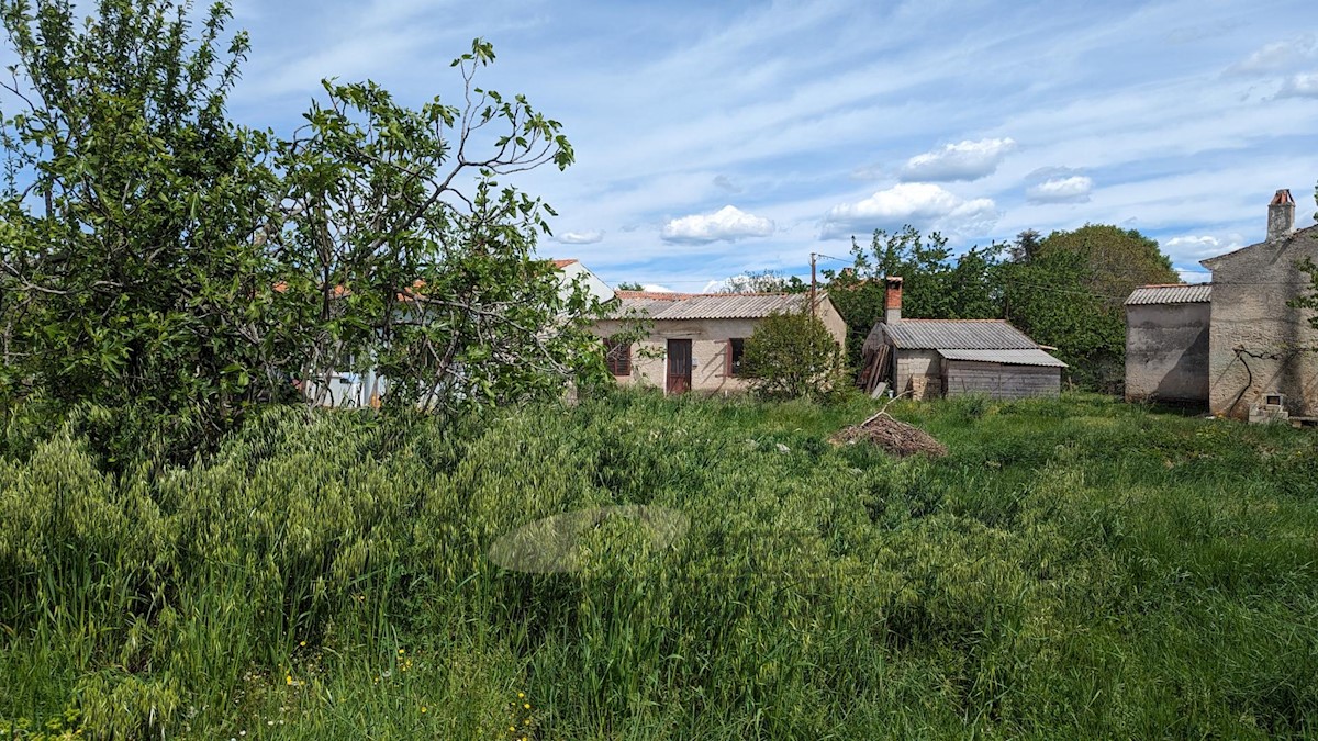 Terreno edificabile Kaštelir, Kaštelir-Labinci, 918 m2