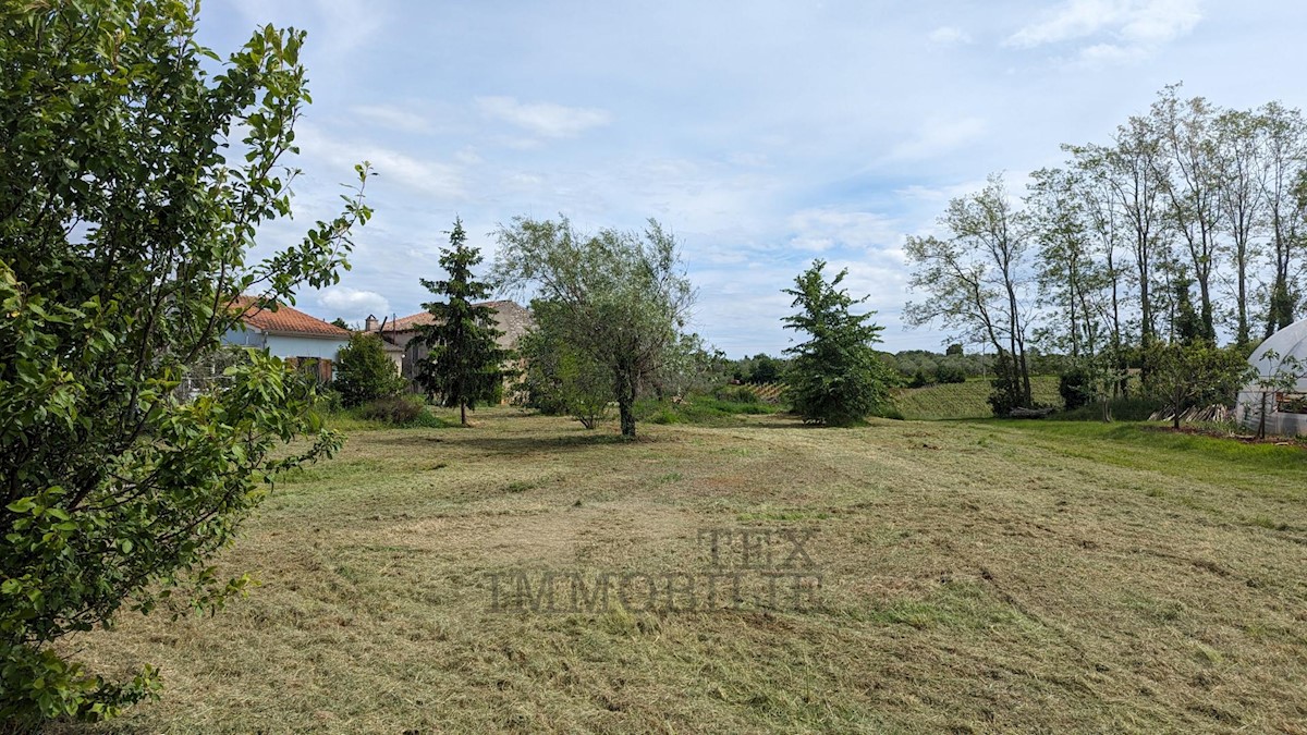 Terreno edificabile Kaštelir, Kaštelir-Labinci, 918 m2