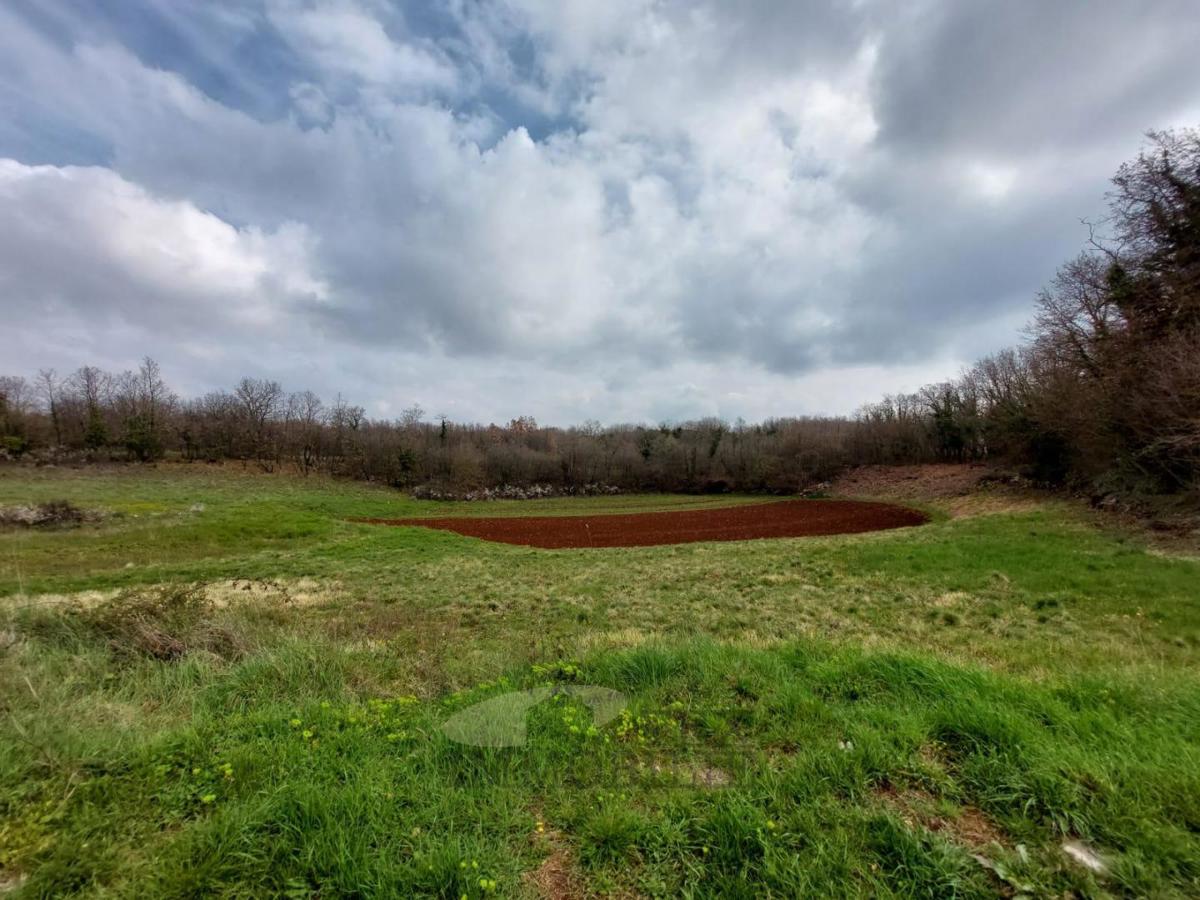 Terreno edificabile Sveti Lovreč, 964m2