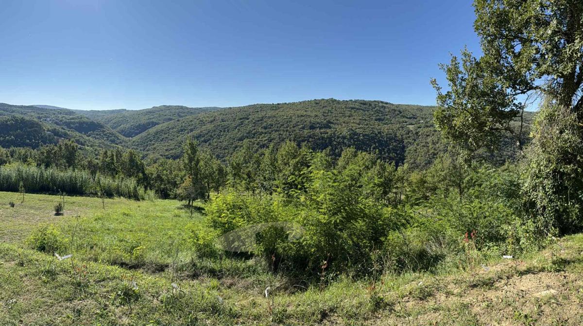 Terreno edificabile con vista su Motovun