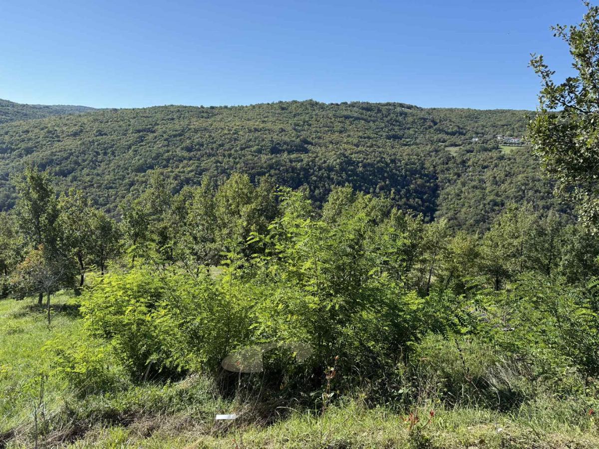 Terreno edificabile con vista su Motovun
